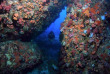 Seychelles - Mahé - Dive Seychelles Underwater Centre