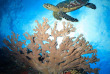 Seychelles - Praslin - Octopus Divers - Le centre de plongée