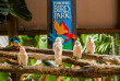Singapour – Jurong Bird Park © Afur Wong – STB2015
