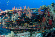 Croisière plongée Atlantis avec Diving Attitude - Soudan © Didier Brandelet