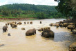Tour du monde - Sri Lanka - Le bains des éléphants à Pinnawella © C. Lagorce