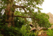 Zanzibar - Ungula Lodge - Villa Baobab