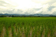 Thailande - Les rizières environnantes © Asian Oasis