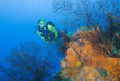 Turks & Caicos - Croisière plongée Turks & Caicos Explorer II