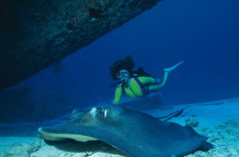 Bahamas - Bimini - Bimini Big Game Divers