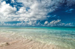 Odyssée Bonaire en liberté - Voyage plongée accompagné © Captain Dons Habitat