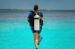 Bonaire - Captain Don's Dive