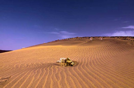 Egypte - Marsa Alam - Marsa Shagra Village - Excursion dans le désert © Christian Von Falken Plachecki