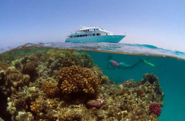 Egypte - Marsa Alam - Red Sea Diving Safari - Marsa Nakari © Wilfried Niedermayr