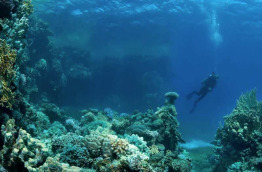 Egypte - Sharm El Sheikh - Emperor Divers © Geoff Spiby
