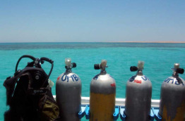 Egypte - Sharm El Sheikh - Sharks Bay Umbi Diving Village