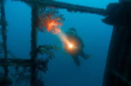Egypte - Soma Bay - Orca Dive Clubs - El Arish - El Tor
