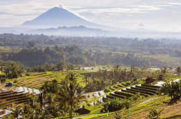 Indonésie - Bali - Les rizières de Jati Luwih et vue sur le Mont Agung © My Good Images – Shutterstock