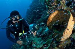 Indonésie - Sulawesi - Gangga - Gangga Divers © Rudy Whitworth