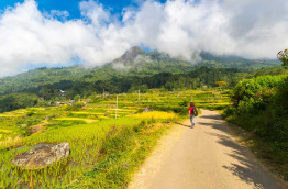 Indonésie - Sulawesi - Promenade à Sulawesi © Fabio Lamanna – Shutterstock