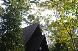 Malaisie - Circuit La rivière Kinabatangan - Le Gomantong Hall du Sukau Rainforest Lodge