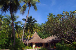 Maldives - Biyadhoo Island Resort - Restaurant