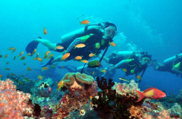 Découverte de la plongée aux Maldives avec Euro-Divers