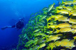Maldives - Euro-Divers Dighali