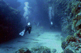 Mexique - Yucatan - Xcalak - XTC Dive Center
