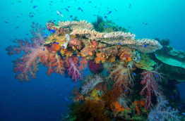 Micronésie - Truk - Truk Lagoon Dive Center - Sankisan Maru