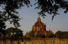 Myanmar - Bangan - Paya Bu Lei Thee