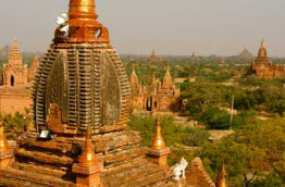 Myanmar - Bangan - Paya Bu Lei Thee