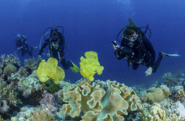 Safari plongée Best Of Philippines © Sea Explorer - Uw Picture