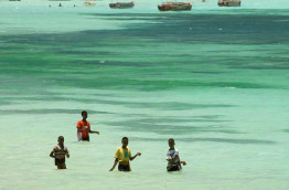 Zanzibar - Ungula Lodge - Partie de pêche à Kizimkazi