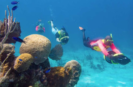 Turks & Caicos - Grand Turk - Oasis Divers