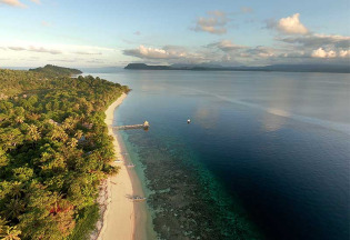 Indonésie - Sulawesi - Bangka Island - Coral Eye