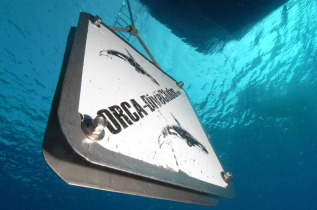 Egypte - El Gouna - Orca Dive  Clubs