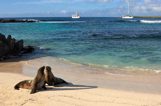 Equateur - Galapagos - Découverte des Galapagos depuis l'île de San Cristobal © Shutterstock, Lucia Pitter