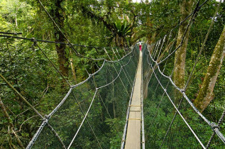 Malaisie - Le Mont Kinabalu - Les ponts suspendus de Poring