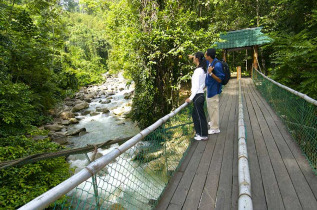 Malaisie - Le Mont Kinabalu - Balade à Poring