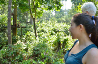 Malaisie - Observation des orangs-outans depuis la plateforme © Jolence Lee