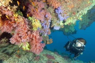 Maldives - Centre de plongée Sea Explorer - Reethi Faru
