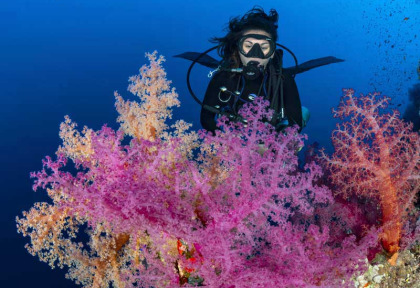 Croisière plongée en Mer Rouge avec Diving Attitude © Fabrice Didenhofer