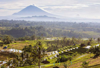 Indonésie - Bali - Rizière de Jati Luwih © My Good Images – Shutterstock