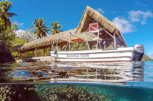 Polynésie - Huahine - Mahana dive