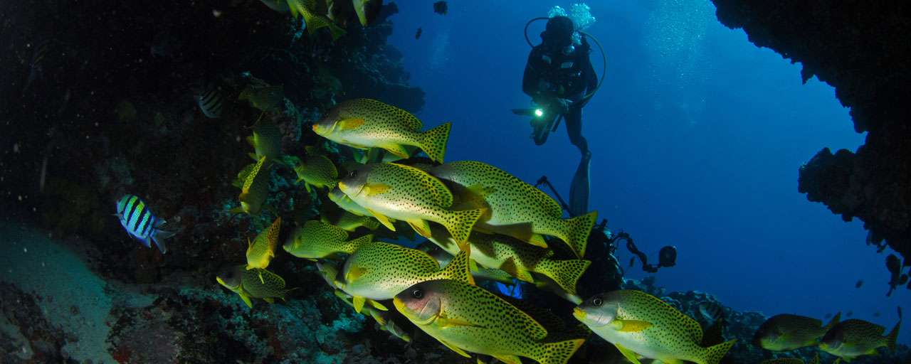 Djibouti © Nicolas Barraque