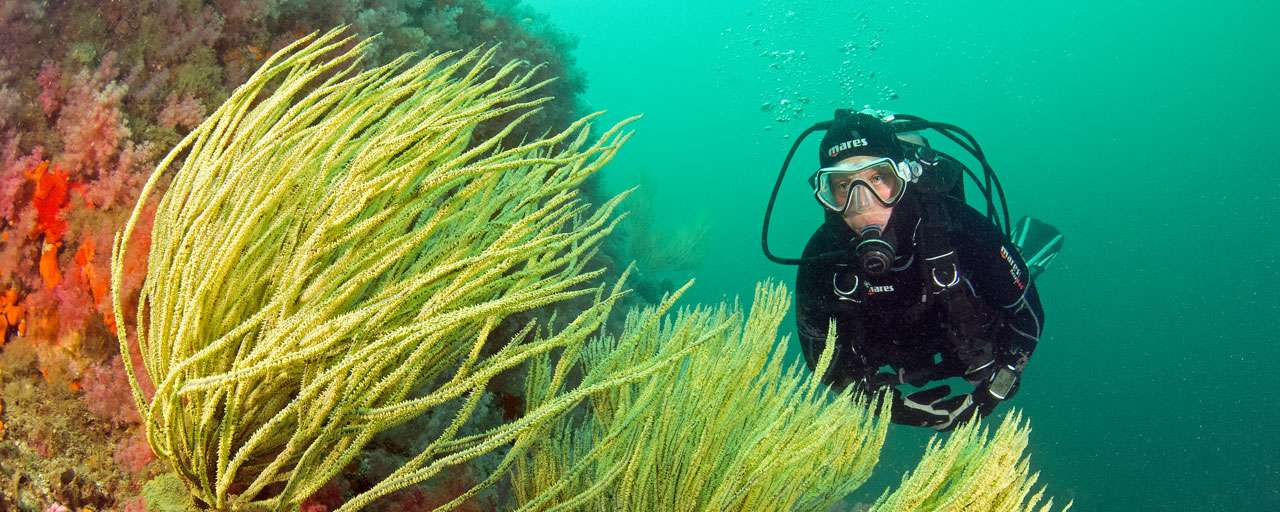Musandam © Extra Divers Musandam