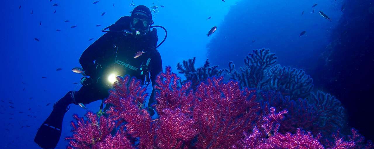 Marettimo - Sicile - Italie © Blu Tek Diving - Marco Levetto