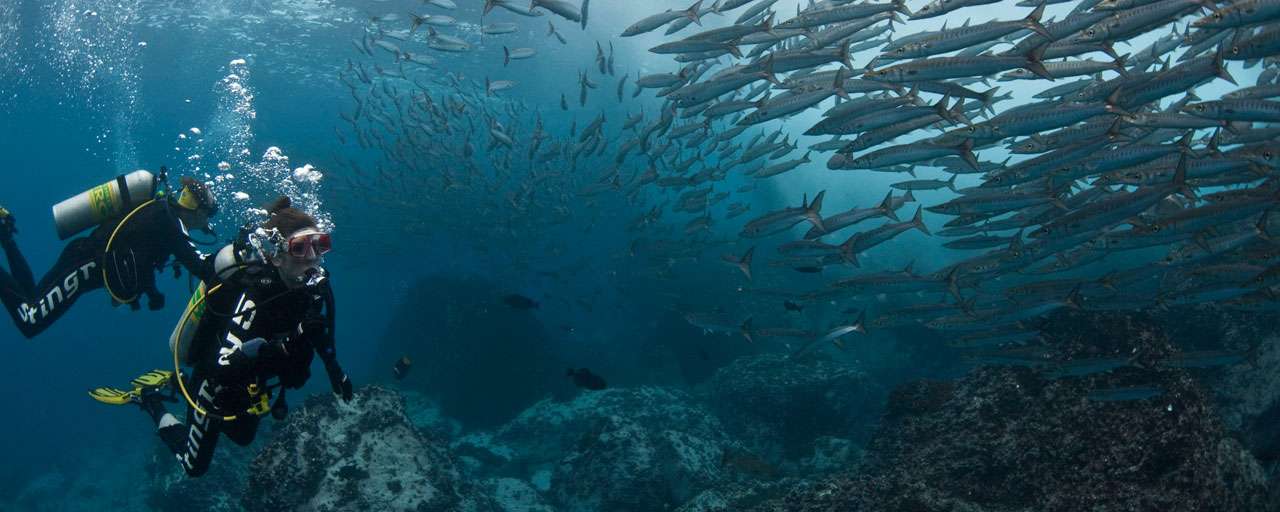 Coiba © Coiba Dive Expeditions