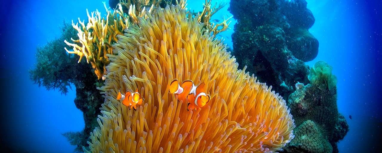 Karimunjawa © Kura Kura Resort