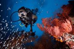 Plongeuse sous l’eau