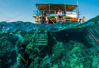 Égypte - El Quseir - Rohanou Beach Resort