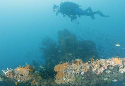 Coron © Sangat Island Dive Center