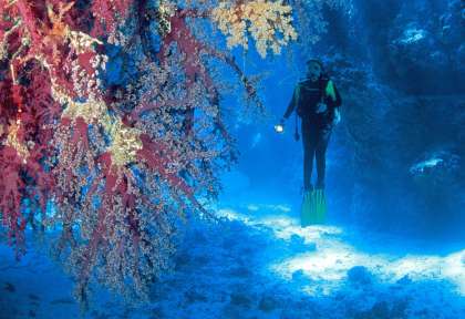 St Johns Reef © Shutterstock - Levent Konuk