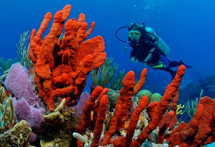 Yucatan
Isla Mujeres